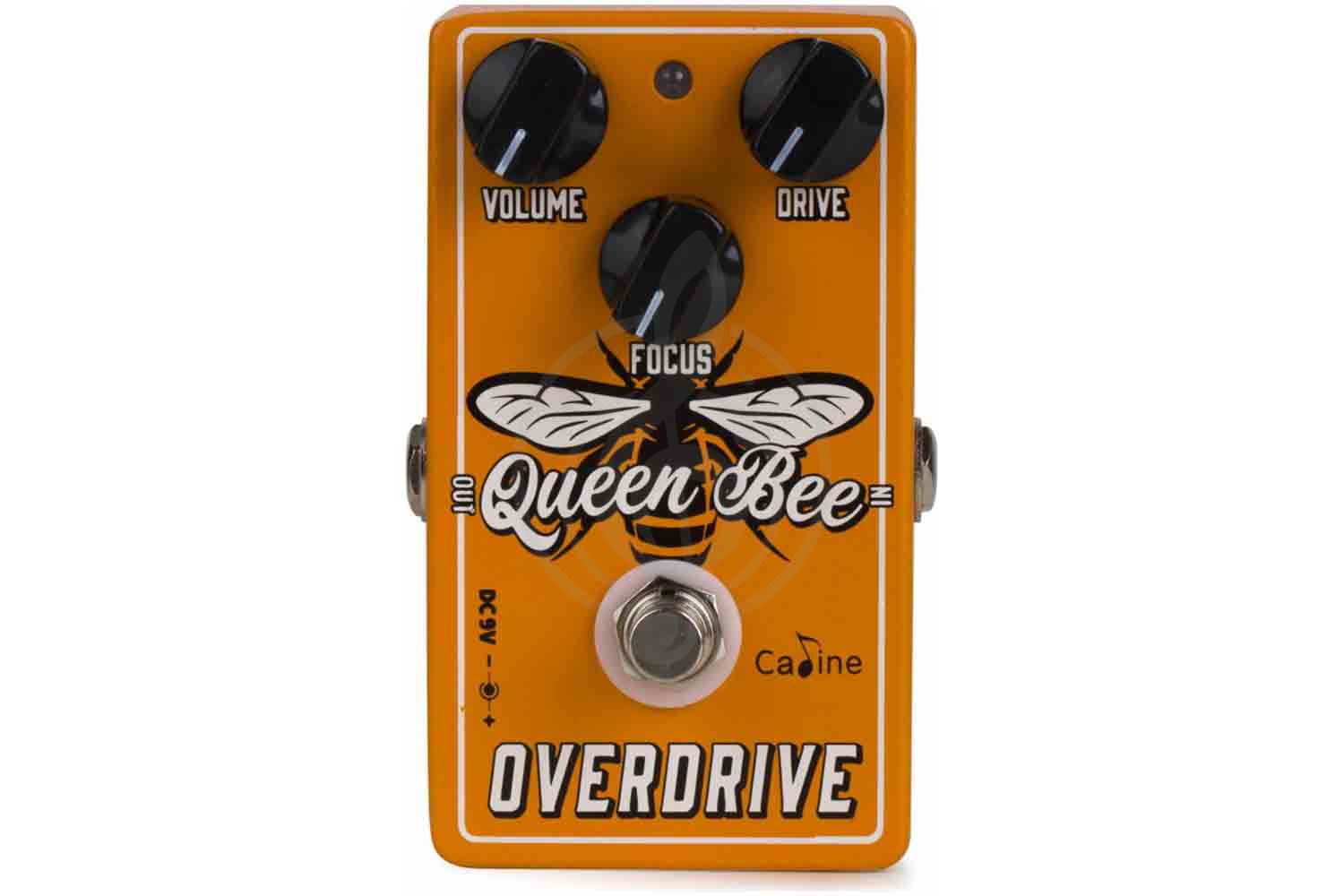 Педаль для электрогитар CALINE CP-503 - Педаль Overdrive,  CP-503 в магазине DominantaMusic - фото 1