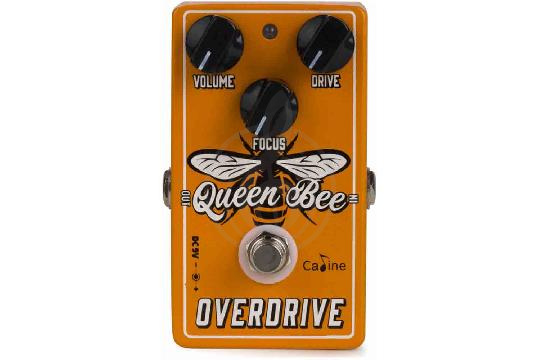 Изображение CALINE CP-503 - Педаль Overdrive