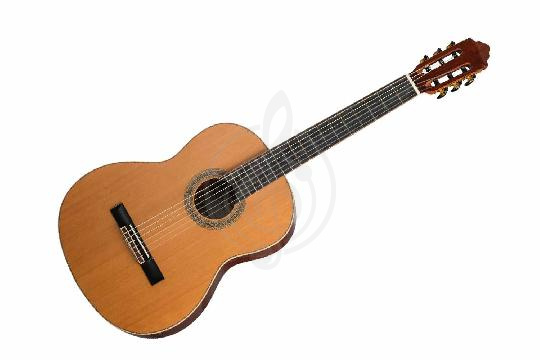 Изображение Caraya SCS-826