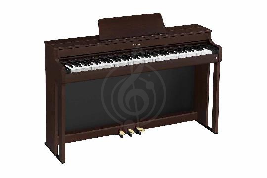 Изображение AP-300BN Celviano