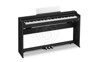 Изображение AP-S200BK Celviano