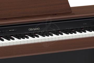 Цифровое пианино Цифровые пианино Casio Casio Celviano AP-250BN, цифровое пианино AP-250BN - фото 2