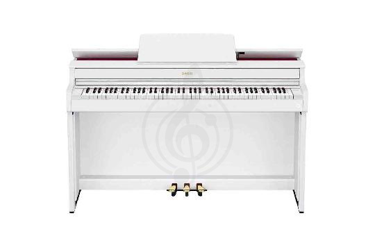 Изображение Celviano (AP)-300 WE