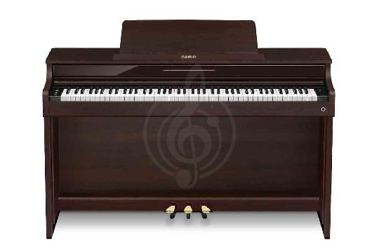 Изображение Celviano (AP)-550 BN