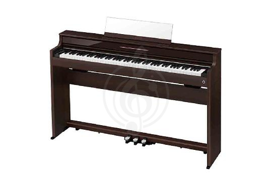 Изображение Celviano (AP)-450 BN