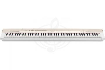 Цифровое пианино Цифровые пианино Casio CASIO Privia PX-160GD, цифровое пианино PX-160GD - фото 2