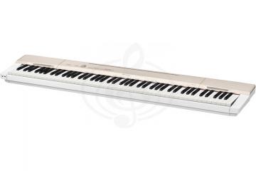 Цифровое пианино Цифровые пианино Casio CASIO Privia PX-160GD, цифровое пианино PX-160GD - фото 3