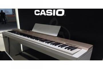 Цифровое пианино Цифровые пианино Casio CASIO Privia PX-160GD, цифровое пианино PX-160GD - фото 5