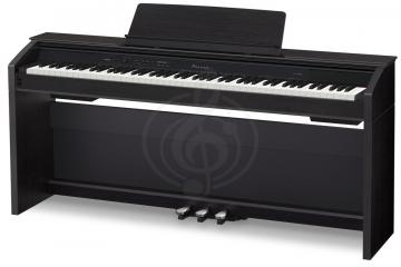 Цифровое пианино Цифровые пианино Casio Casio Privia PX-850BK, цифровое пианино PX-850BK - фото 2