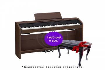 Цифровое пианино Цифровые пианино Casio Casio Privia PX-850BN, цифровое пианино PX-850BN - фото 4