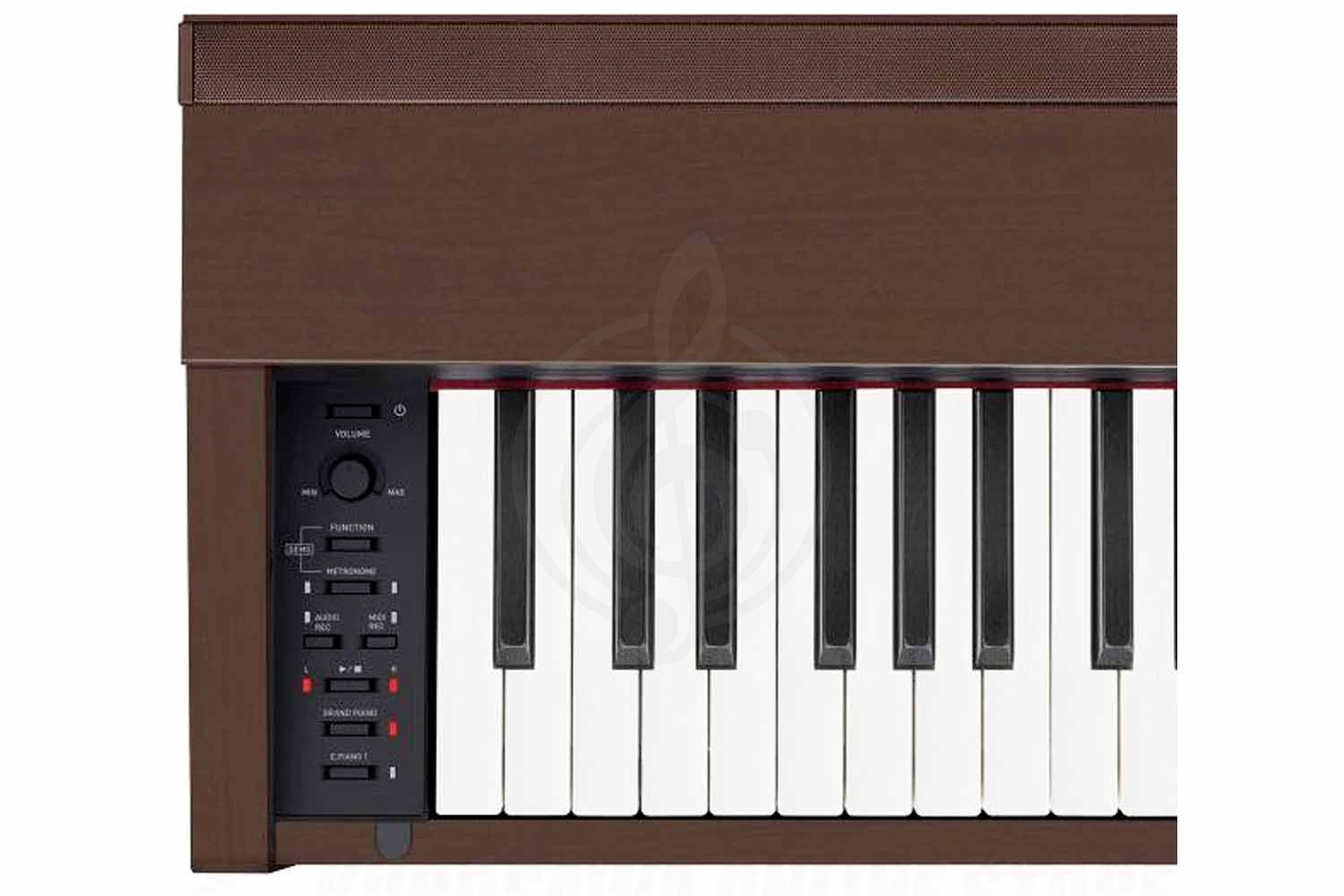 Цифровое пианино Casio PX-870 BN - Цифровое пианино, Casio PX-870 BN в магазине DominantaMusic - фото 3