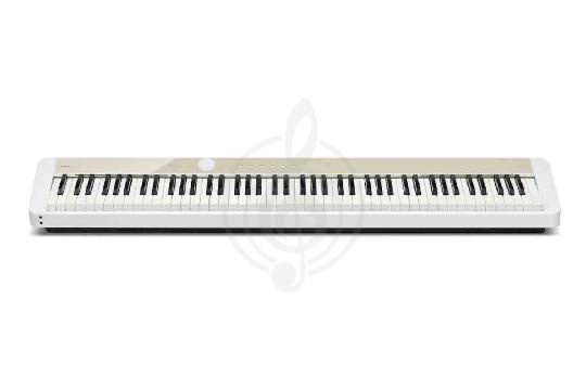 Изображение PX-S1100MB