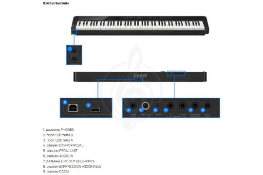 Цифровое пианино Casio PX-S3100BK - Цифровое пианино, Casio PX-S3100BK в магазине Доминанта мьюзик - фото 8