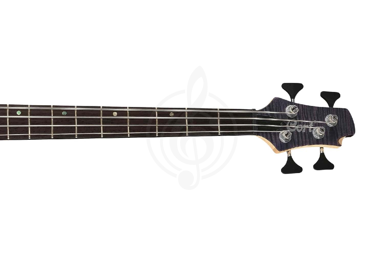 Бас-гитара Cort A4-Plus-FMMH-OPLB Artisan Series - Бас-гитара, Cort A4-Plus-FMMH-OPLB Artisan Series в магазине Доминанта мьюзик - фото 5