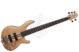 Изображение Cort A5-Plus-FMMH-OPN Artisan Series Бас-гитара 5-струнная