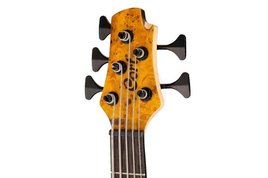Бас-гитара Бас-гитары Cort Cort A5-Plus-SC-AOP Artisan Series - Бас-гитара 5-струнная A5-Plus-SC-AOP - фото 9