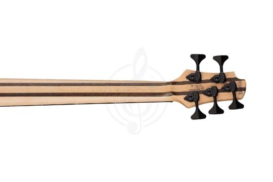 Бас-гитара Бас-гитары Cort Cort A5-Plus-SC-AOP Artisan Series - Бас-гитара 5-струнная A5-Plus-SC-AOP - фото 10