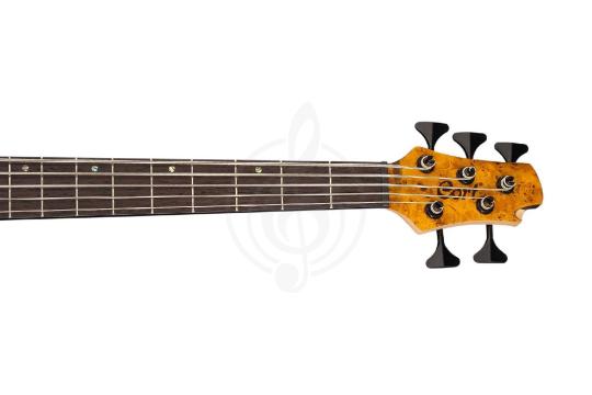 Бас-гитара Бас-гитары Cort Cort A5-Plus-SC-AOP Artisan Series - Бас-гитара 5-струнная A5-Plus-SC-AOP - фото 11