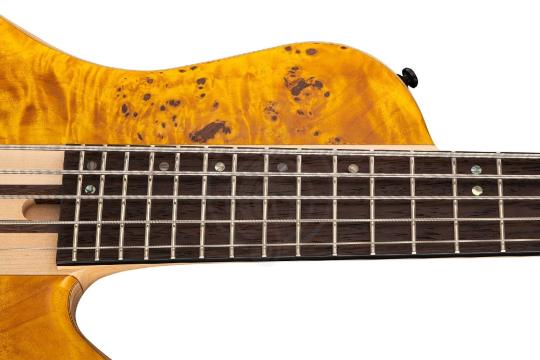 Бас-гитара Бас-гитары Cort Cort A5-Plus-SC-AOP Artisan Series - Бас-гитара 5-струнная A5-Plus-SC-AOP - фото 12