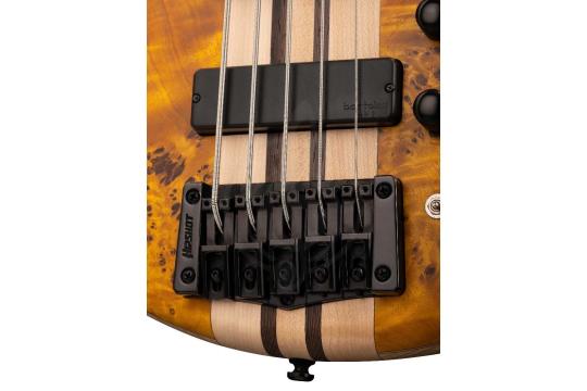 Бас-гитара Бас-гитары Cort Cort A5-Plus-SC-AOP Artisan Series - Бас-гитара 5-струнная A5-Plus-SC-AOP - фото 13