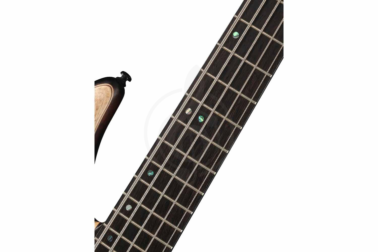 Бас-гитара Cort A5-Ultra-Ash-WCASE-ENB Artisan Series - Бас-гитара, Cort A5-Ultra-Ash-WCASE-ENB Artisan Series в магазине Доминанта мьюзик - фото 8