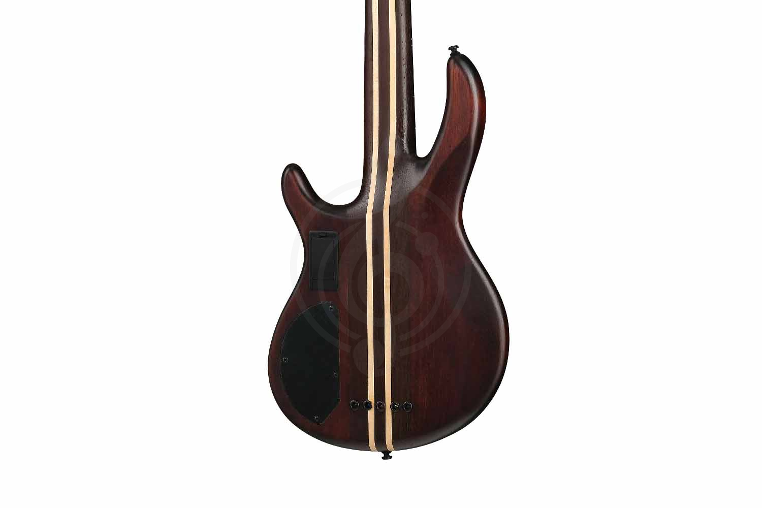 Бас-гитара Cort A5-Ultra-Ash-WCASE-ENB Artisan Series - Бас-гитара, Cort A5-Ultra-Ash-WCASE-ENB Artisan Series в магазине Доминанта мьюзик - фото 12