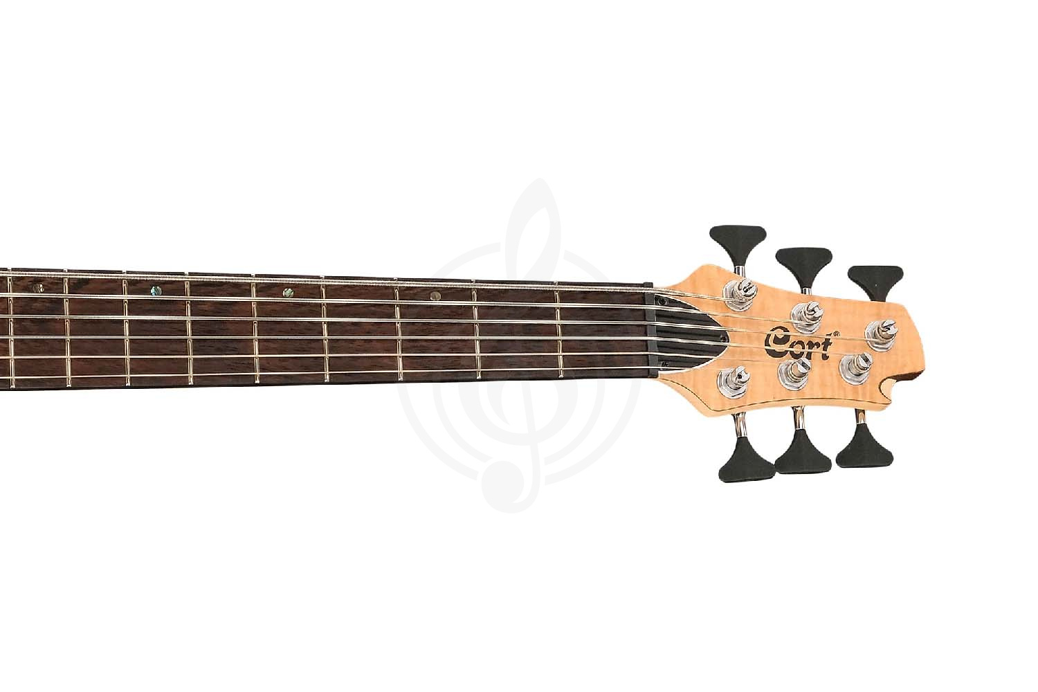 Бас-гитара Cort A6-Plus-FMMH-OPN Artisan Series - Бас-гитара, Cort A6-Plus-FMMH-OPN Artisan Series в магазине DominantaMusic - фото 7