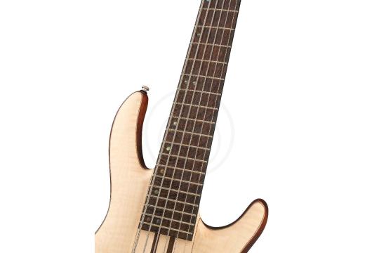 Бас-гитара Cort A6-Plus-FMMH-OPN Artisan Series - Бас-гитара, Cort A6-Plus-FMMH-OPN Artisan Series в магазине Доминанта мьюзик - фото 10