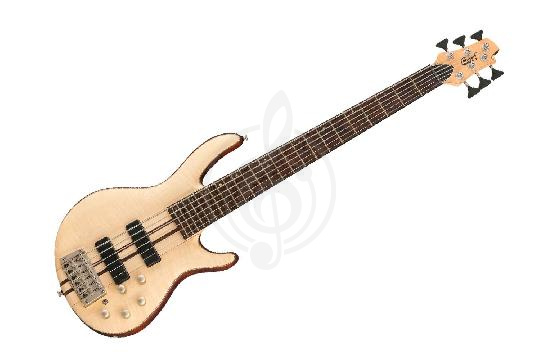 Изображение Бас-гитара Cort A6-Plus-FMMH-OPN Artisan Series