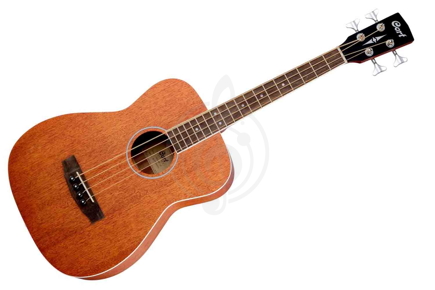 Акустическая бас-гитара Cort AB590MF-WBAG-OP Acoustic Bass Series - Электро-акустическая бас-гитара, Cort AB590MF-WBAG-OP в магазине Доминанта мьюзик - фото 1