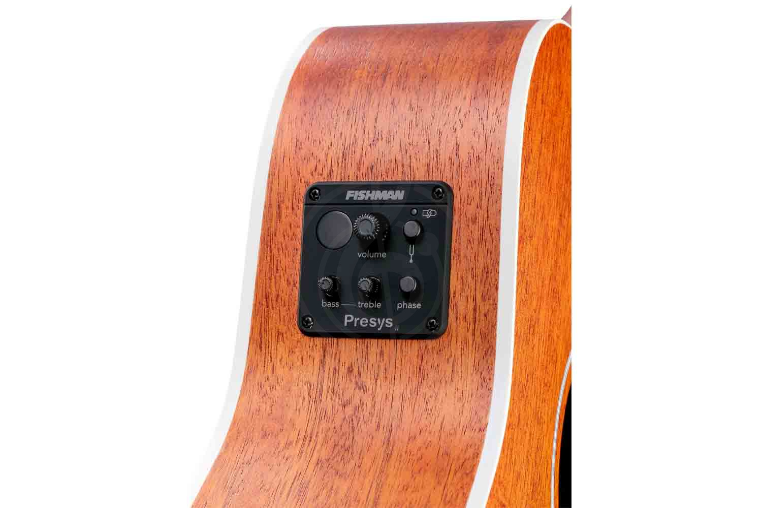 Акустическая бас-гитара Cort AB590MF-WBAG-OP Acoustic Bass Series - Электро-акустическая бас-гитара, Cort AB590MF-WBAG-OP в магазине Доминанта мьюзик - фото 4