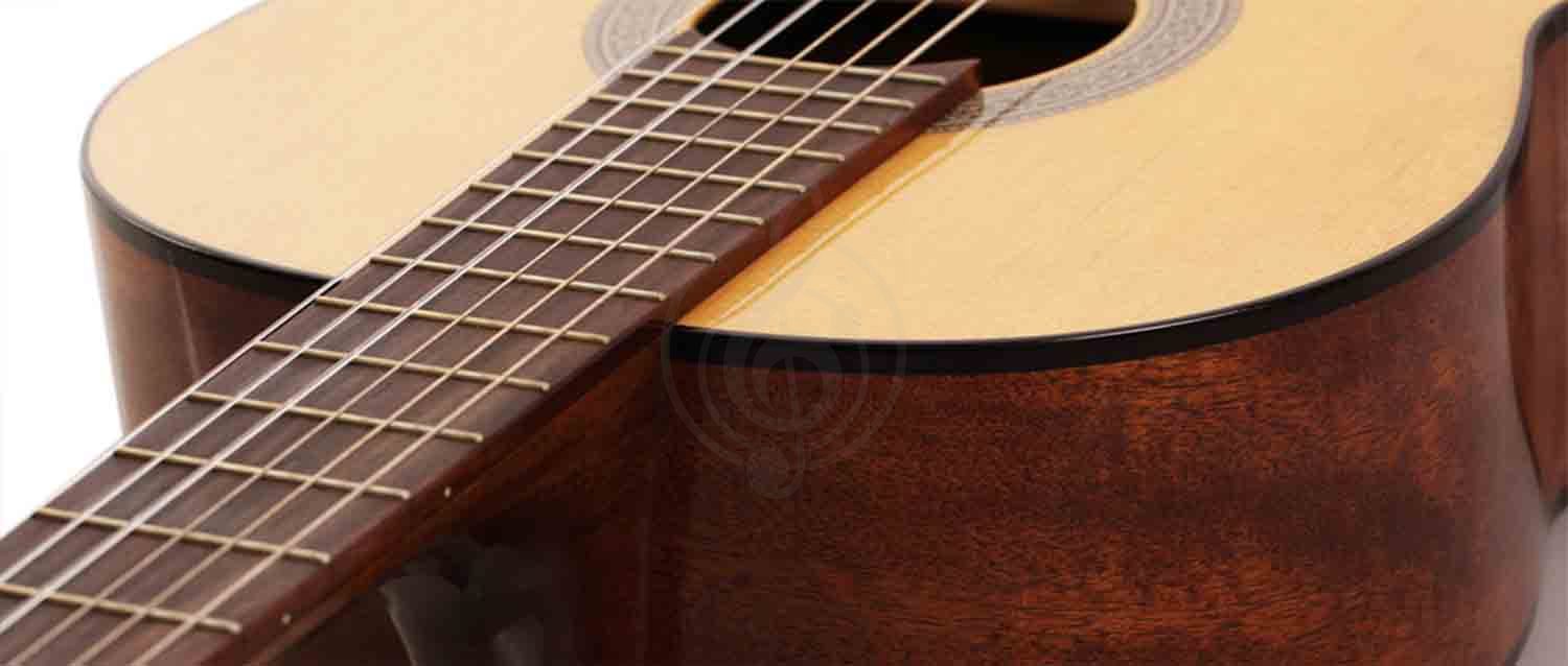 Классическая гитара 4/4 Классические гитары 4/4 Cort Cort AC100-SG - Классическая гитара 4/4 AC100-SG - фото 4