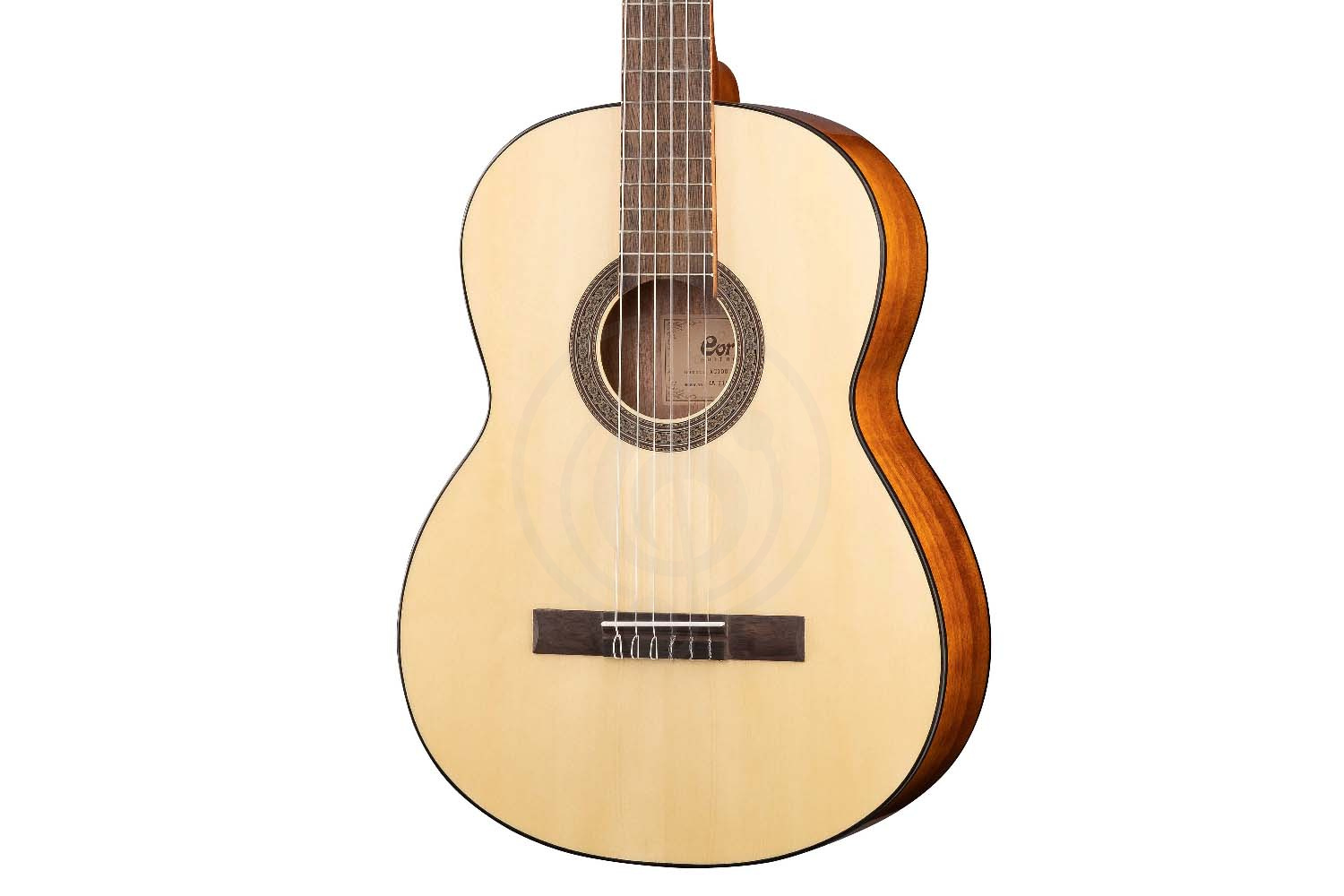 Классическая гитара 4/4 Классические гитары 4/4 Cort Cort AC100-SG - Классическая гитара 4/4 AC100-SG - фото 5