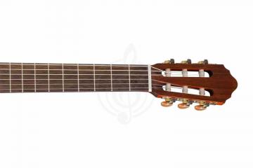 Классическая гитара 4/4 Cort AC200-4/4-OP Classic Series - Классическая гитара, Cort AC200-4/4-OP в магазине DominantaMusic - фото 2