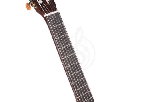 Классическая гитара 4/4 Cort AC200-OP-w/bag Classic Series - Классическая гитара, Cort AC200-OP-w/bag Classic Series в магазине Доминанта мьюзик - фото 10