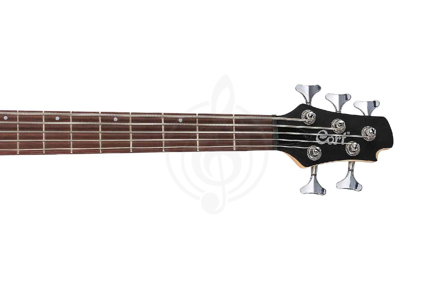 Бас-гитара Cort Action-Bass-V-Plus-TR Action Series - Бас-гитара 5-струнная, красная, Cort Action-Bass-V-Plus-TR в магазине DominantaMusic - фото 5