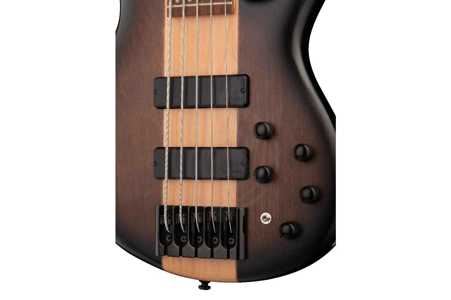 Бас-гитара Cort C5-Plus-OVMH-ABB Artisan Series - Бас-гитара, 5 струн, Cort C5-Plus-OVMH-ABB в магазине Доминанта мьюзик - фото 5