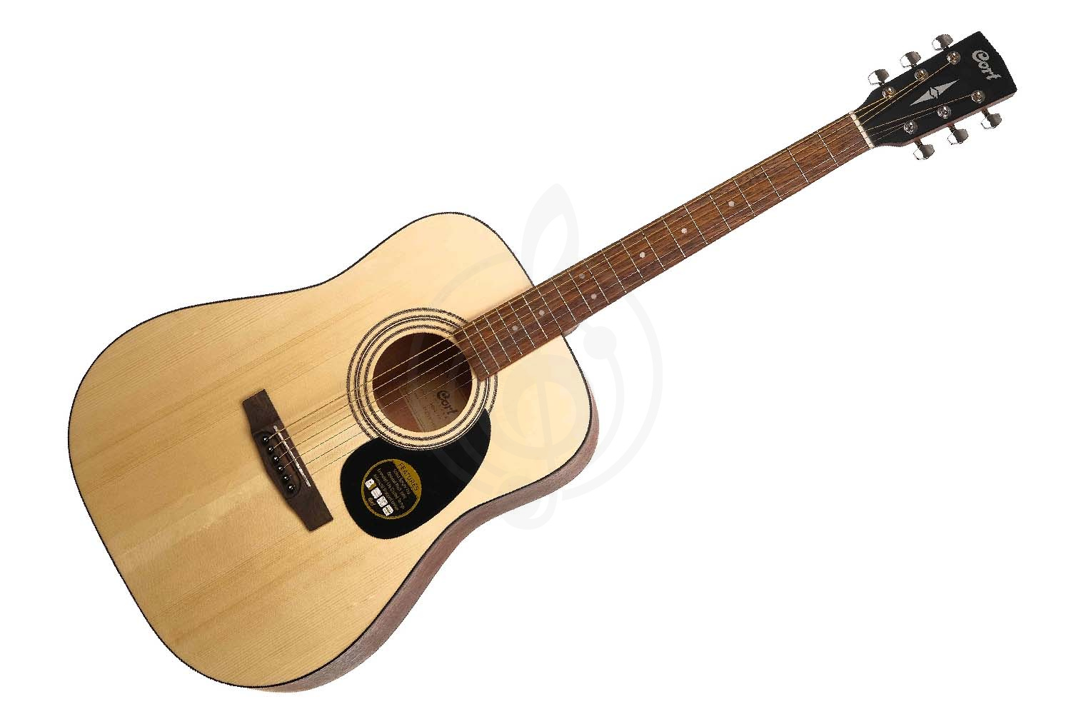 Акустическая гитара Cort CAP-810-OP Trailblazer - Комплект акустической гитары, Cort CAP-810-OP Trailblaze в магазине DominantaMusic - фото 9