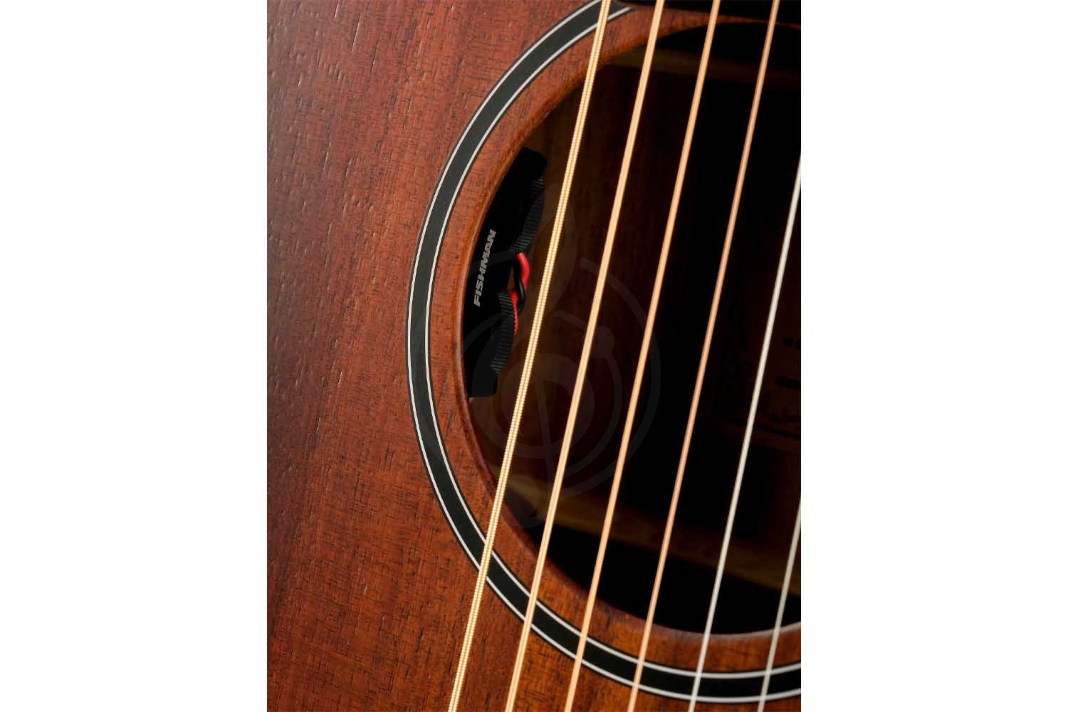 Cort Core-OC-ABW-WCASE-OPLB Core Series - Электроакустическая гитара - фото 3 Электроакустическая гитара Cort Core-OC-ABW-WCASE-OPLB Core Series - Электроакустическая гитара, Core-OC-ABW-WCASE-OPLB Core Series в магазине DominantaMusic - фото 3