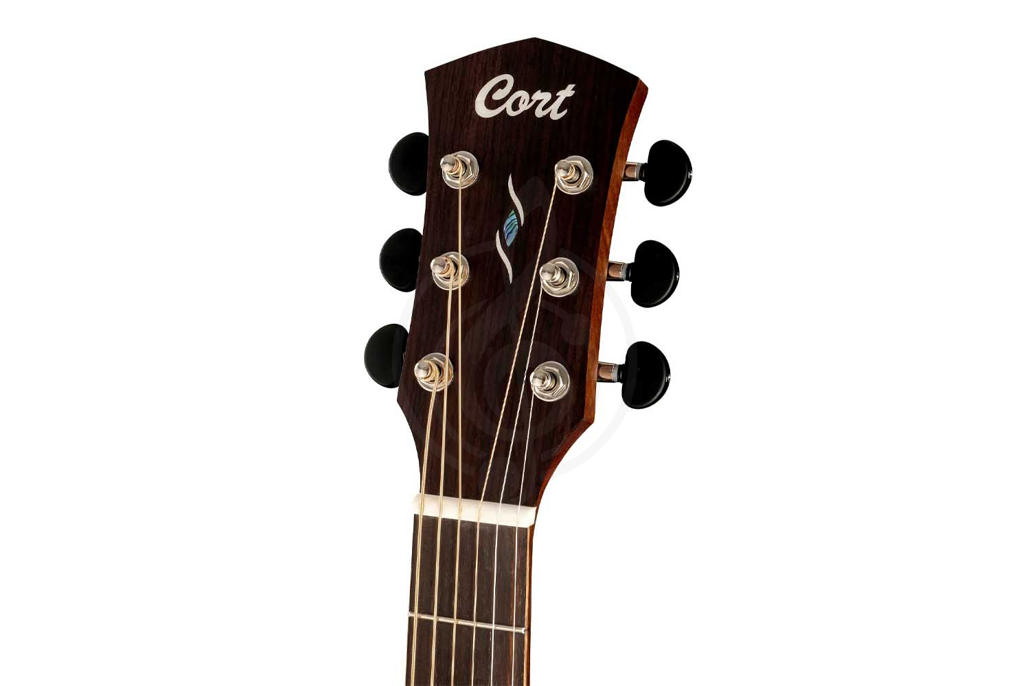 Cort Core-OC-ABW-WCASE-OPLB Core Series - Электроакустическая гитара - фото 4 Электроакустическая гитара Cort Core-OC-ABW-WCASE-OPLB Core Series - Электроакустическая гитара, Core-OC-ABW-WCASE-OPLB Core Series в магазине DominantaMusic - фото 4
