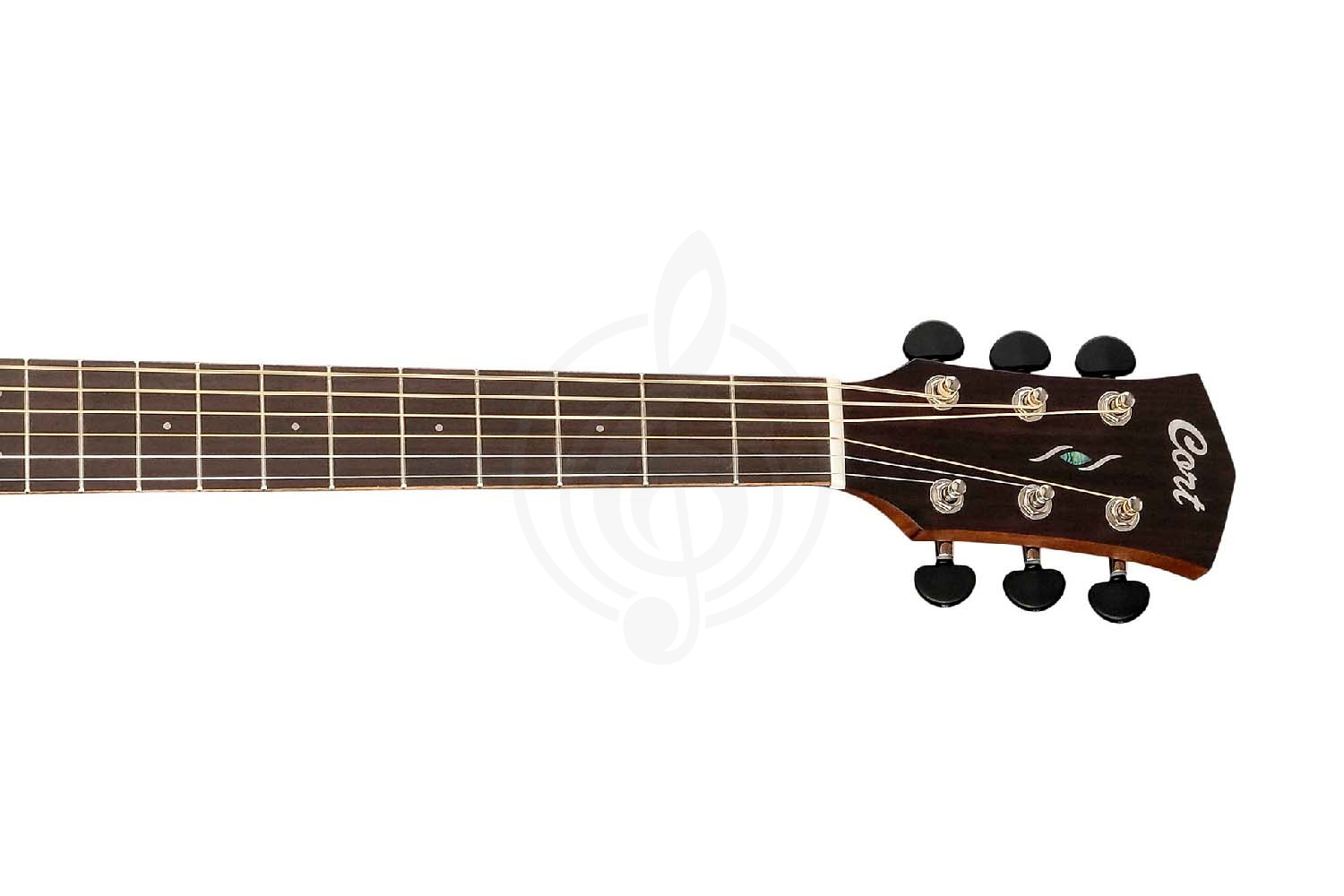 Электроакустическая гитара Cort Core-OC-AMH-WCASE-OPBB Core Series - Электроакустическая гитара, Cort Core-OC-AMH-WCASE-OPBB Core Series в магазине DominantaMusic - фото 8