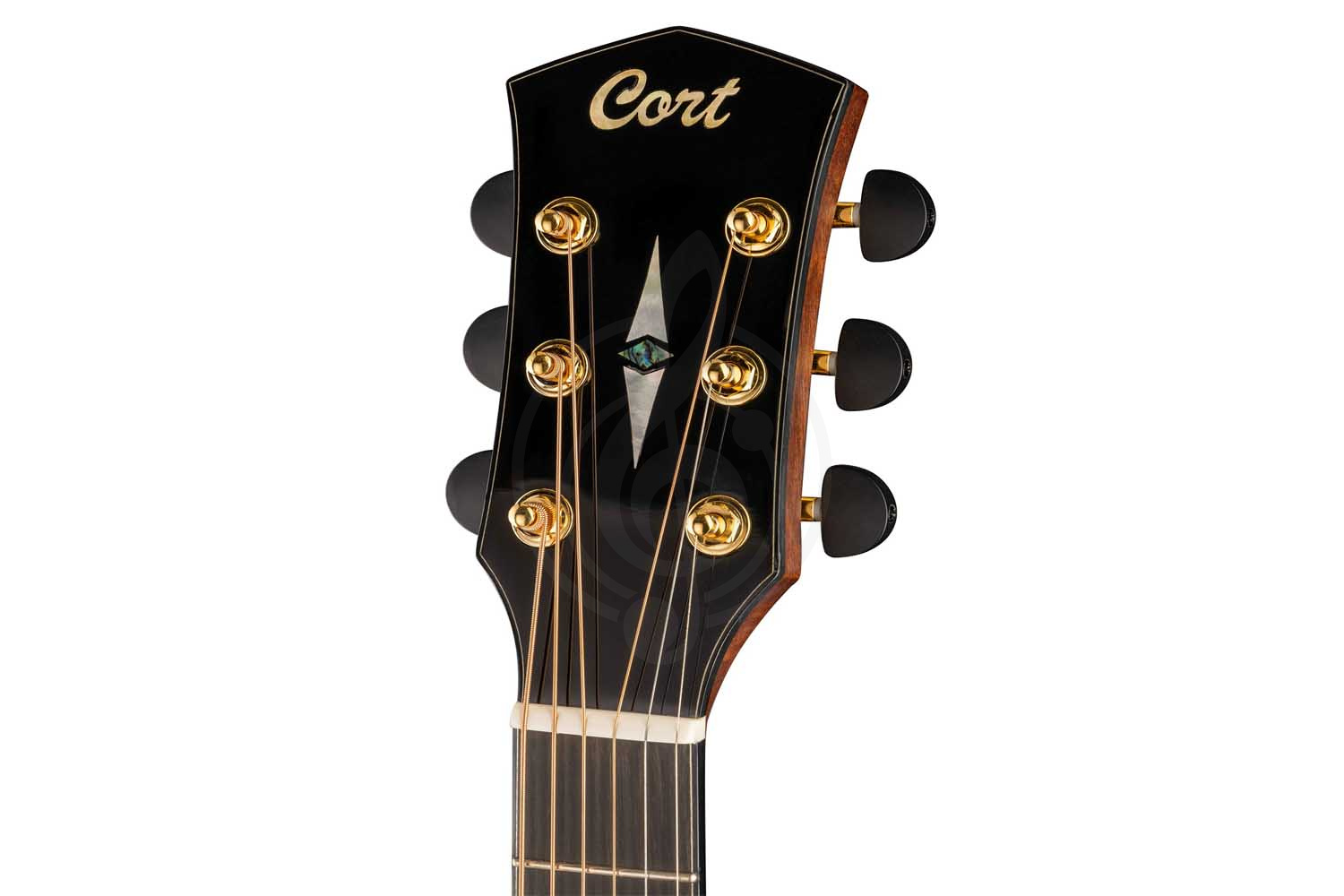 Электроакустическая гитара Cort Cut-Craft-Limited-WCASE-N Limited Edition - Электроакустическая гитара,  Cut-Craft-Limited-WCASE-N Limited Edition в магазине DominantaMusic - фото 