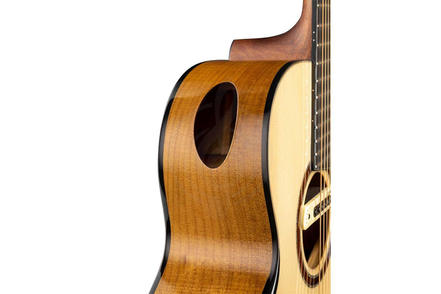 Электроакустическая гитара Cort Cut-Craft-Limited-WCASE-N Limited Edition - Электроакустическая гитара,  Cut-Craft-Limited-WCASE-N Limited Edition в магазине DominantaMusic - фото 