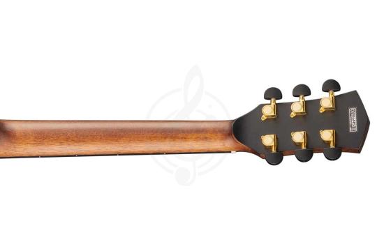 Cort Cut-Craft-Limited-WCASE-N Limited Edition - Электроакустическая гитара - фото 7 Электроакустическая гитара Cort Cut-Craft-Limited-WCASE-N Limited Edition - Электроакустическая гитара, Cut-Craft-Limited-WCASE-N Limited Edition в магазине DominantaMusic - фото 7