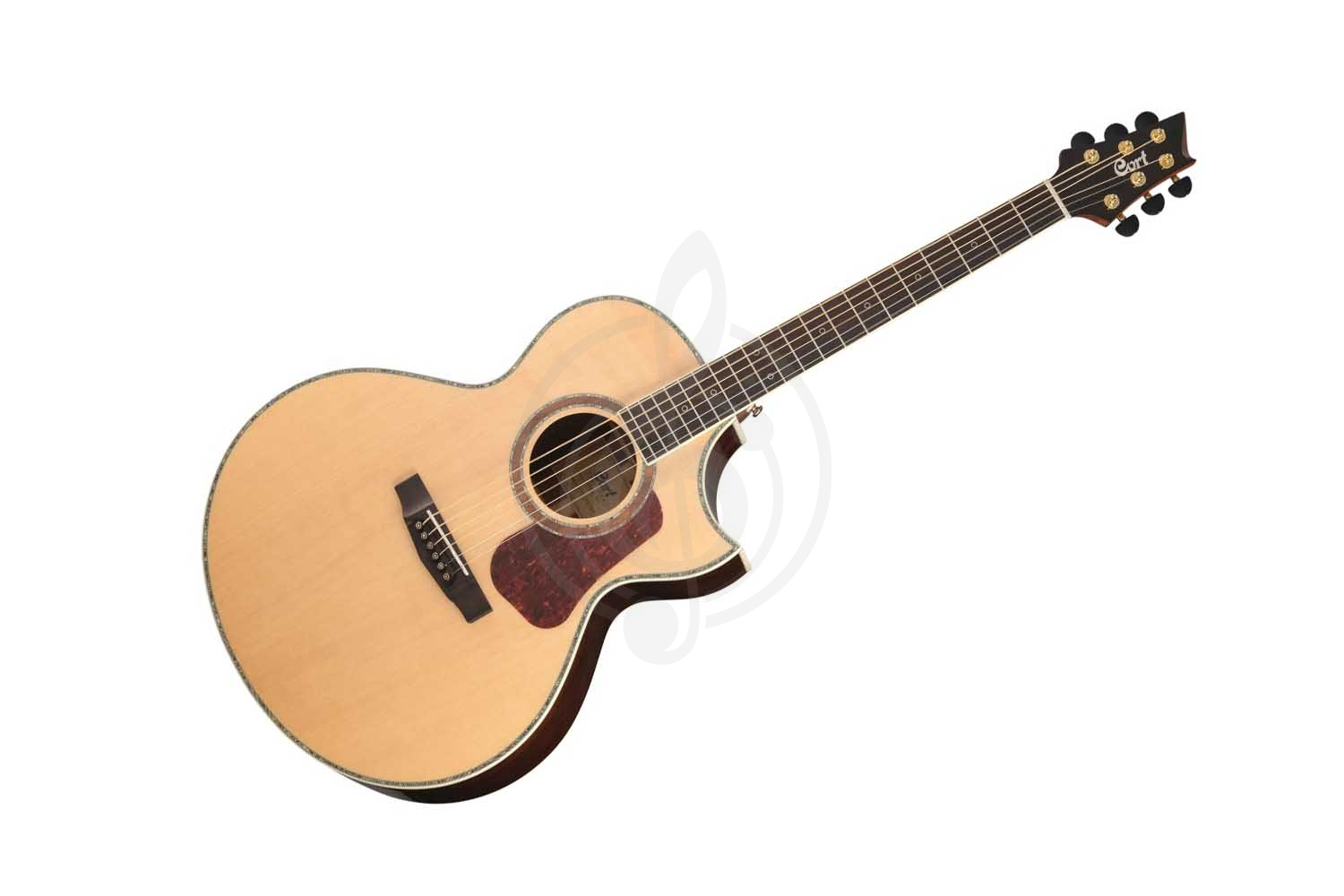 Электроакустическая гитара Cort DX-50-NAT NDX Series - Электроакустическая гитара,  DX-50-NAT NDX Series в магазине DominantaMusic - фото 1