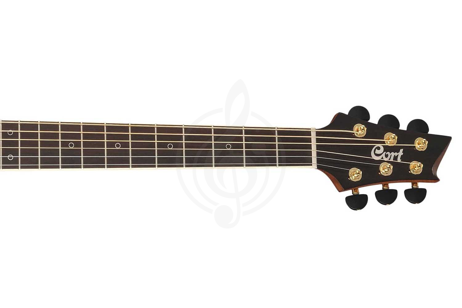 Cort DX-50-NAT NDX Series - Электроакустическая гитара - фото 10 Электроакустическая гитара Cort DX-50-NAT NDX Series - Электроакустическая гитара, DX-50-NAT NDX Series в магазине DominantaMusic - фото 10