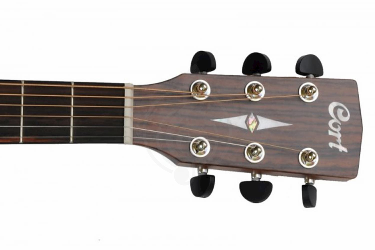 Акустическая гитара Акустические гитары Cort Cort EARTH70-OP Earth Series - Акустическая гитара EARTH70-OP - фото 2