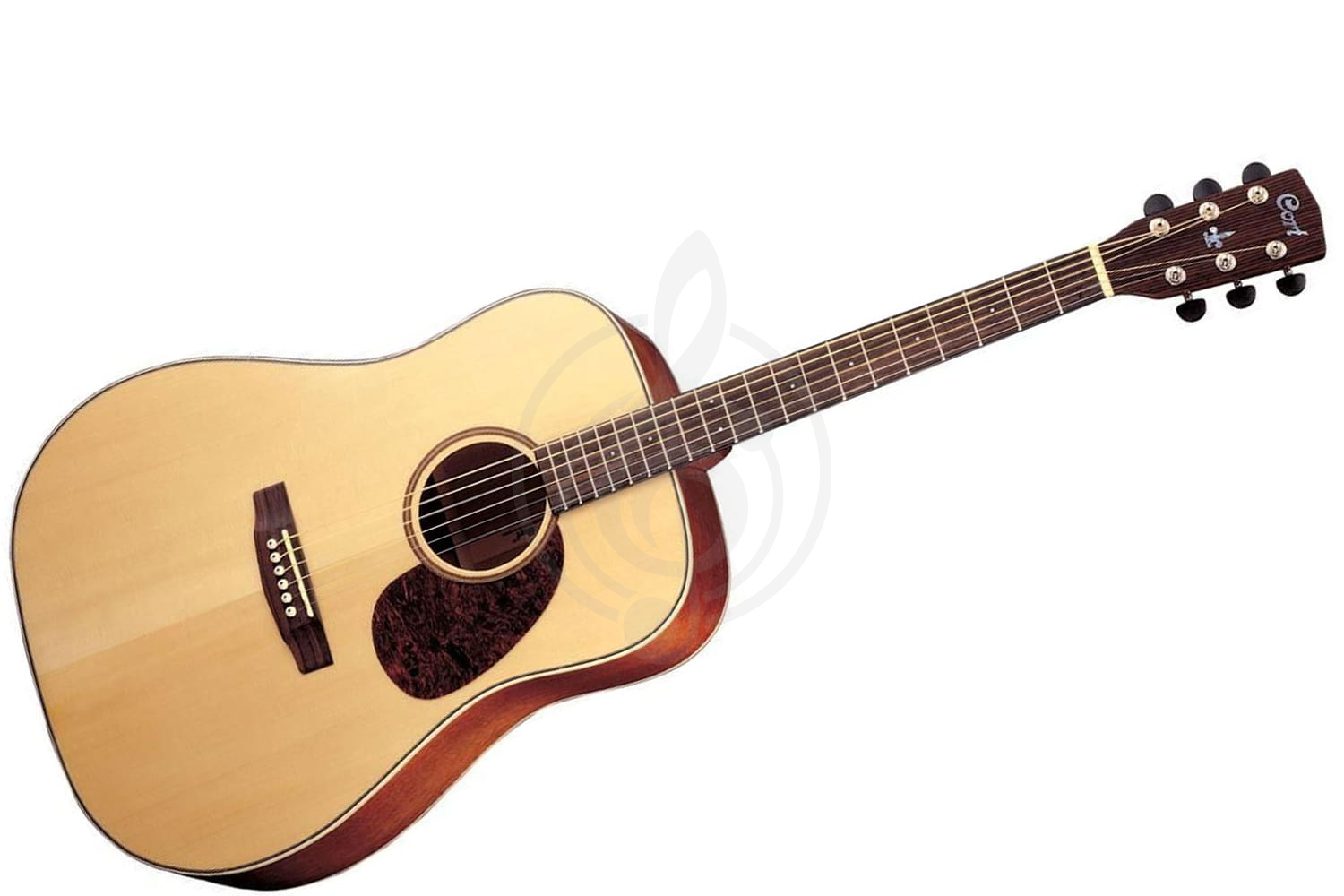 Акустическая гитара Акустические гитары Cort Cort EARTH80-NS Earth Series - Акустическая гитара EARTH80-NS Earth Series - фото 1