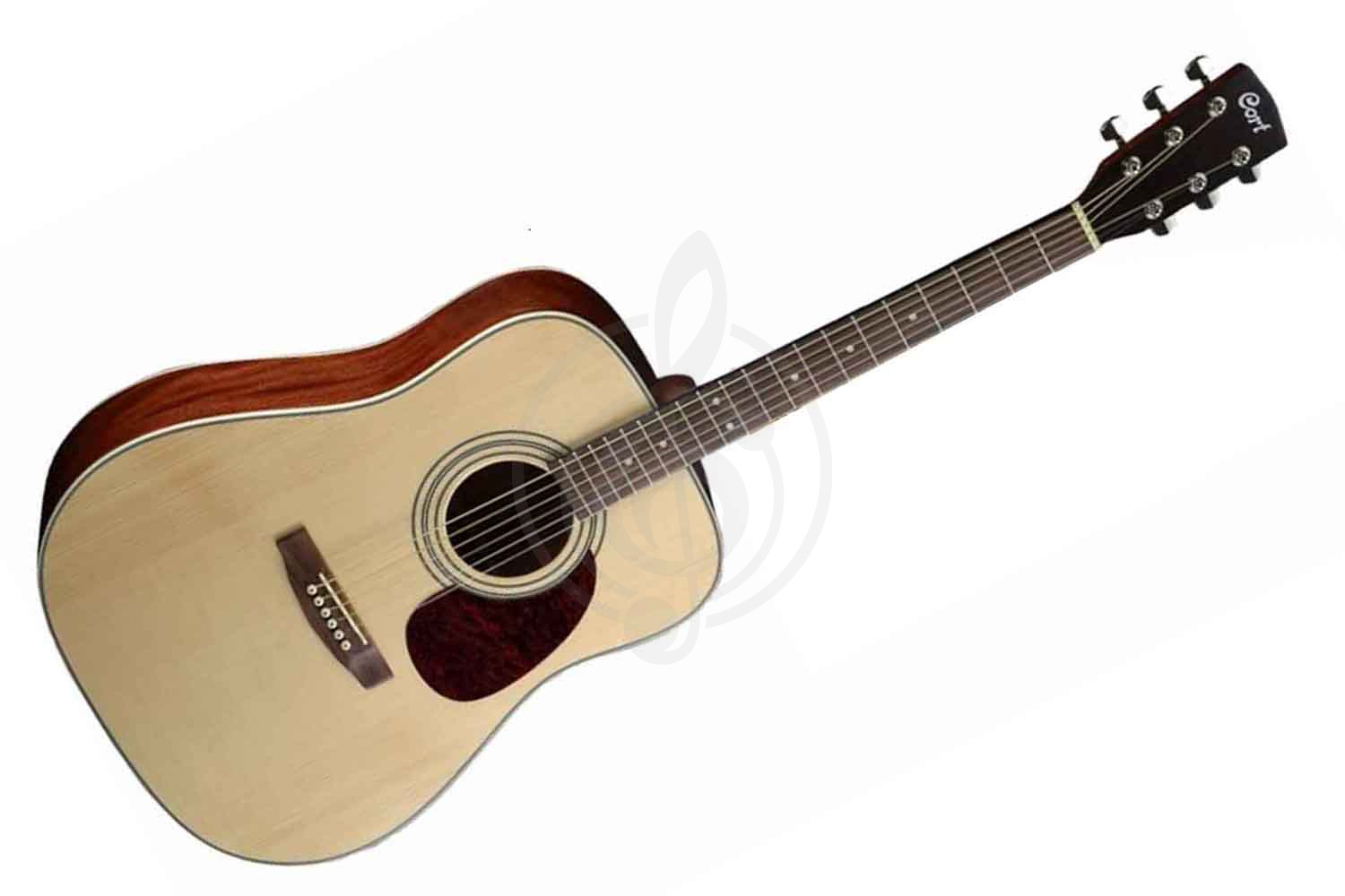 Акустическая гитара Акустические гитары Cort Cort EARTHPACK-OP Earth Series - Акустическая гитара (комплект) + аксессуары, цвет натуральный EARTHPACK-OP - фото 1