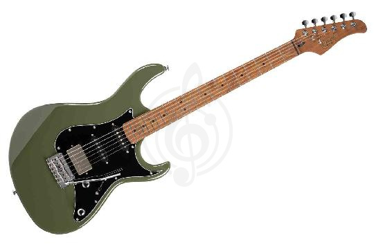 Изображение Электрогитара Stratocaster Cort G250SE-ODG